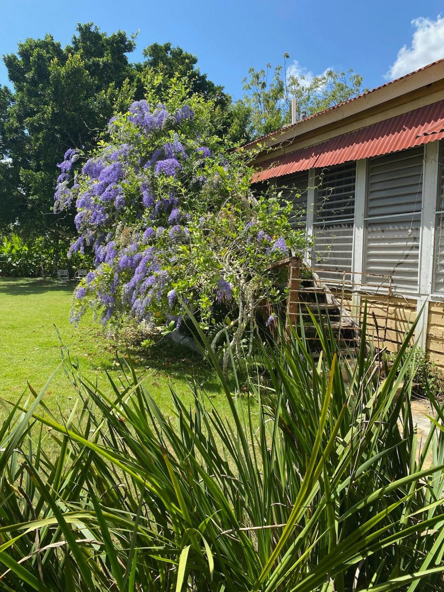 Bed and Breakfast Campito Loving Salvaleón de Higüey Zewnętrze zdjęcie