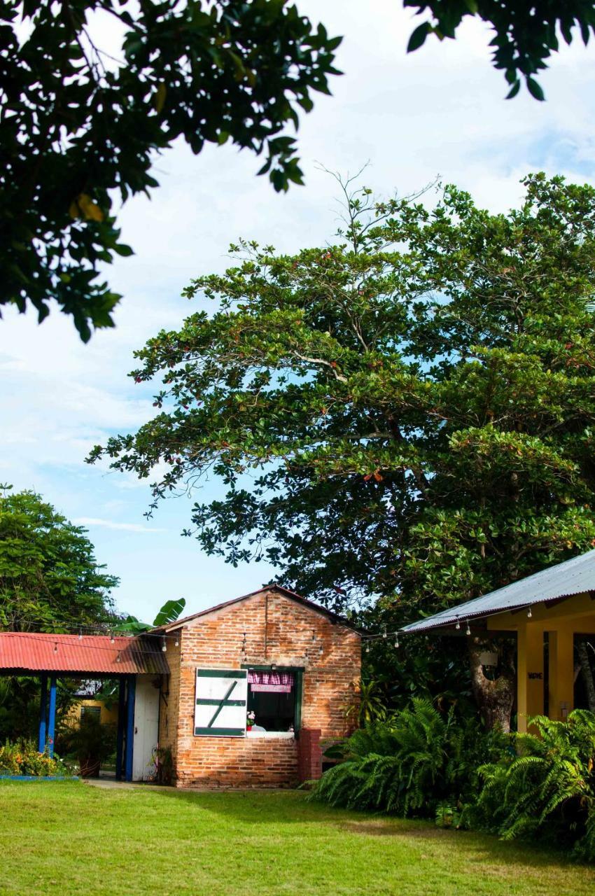Bed and Breakfast Campito Loving Salvaleón de Higüey Zewnętrze zdjęcie